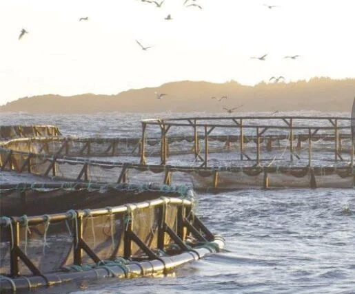 Salmon Aquaculture GHG Emissions Assessment