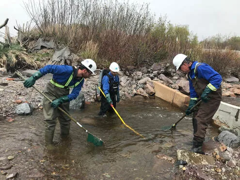 Environmental work by Fundy Engineering